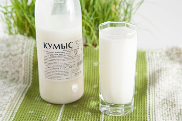 Какие молочные продукты можно, а какие нельзя употреблять при диабете
