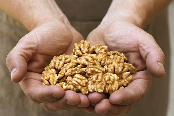 Какие орехи полезны для мужчин