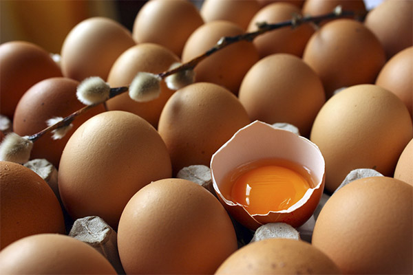 Каким образом определить свежесть яиц