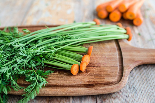 Морковная ботва в кулинарии