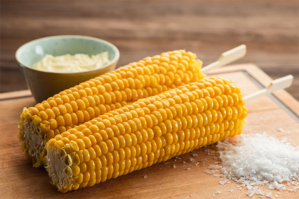 Можно ли есть кукурузу при похудении