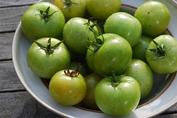 Можно ли есть зеленые помидоры