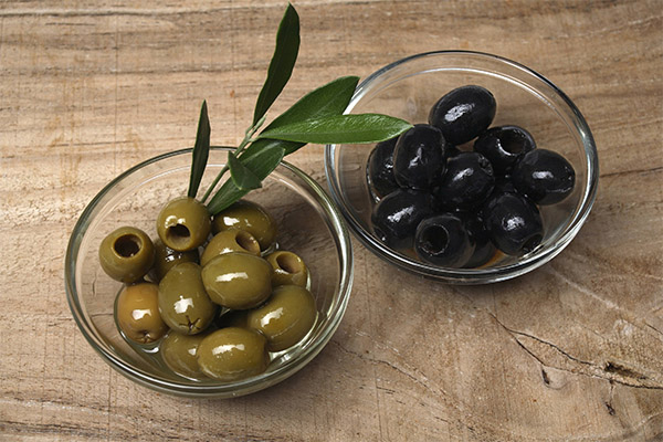 Оливки (маслины) в медицине