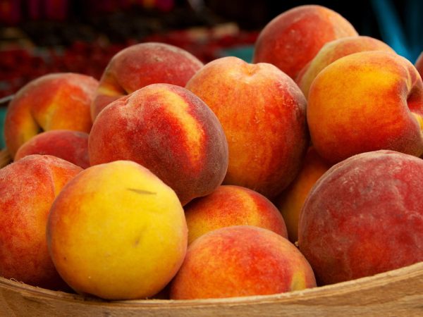 persik odin iz naibolee poleznykh letnikh fruktov