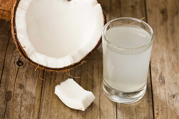 Полезные свойства кокосовой воды