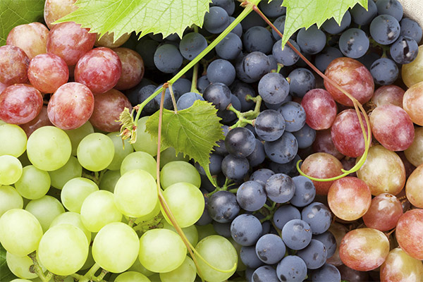 Полезные свойства разных сортов винограда