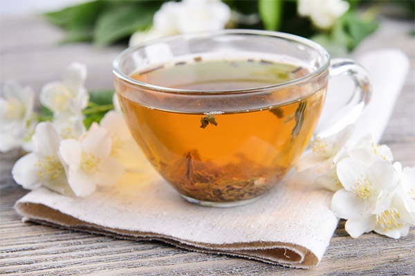 Польза чая с жасмином для похудения