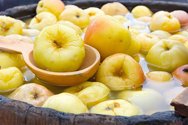 Польза и вред моченых яблок