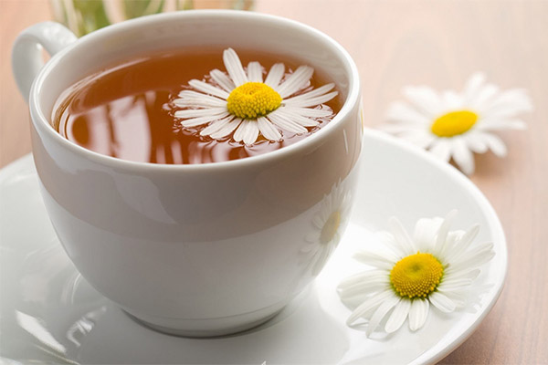 Польза и вред ромашкового чая