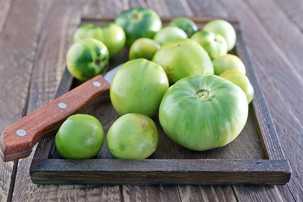 Польза и вред зеленых помидоров