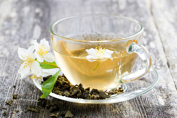 Польза и вред жасминового чая