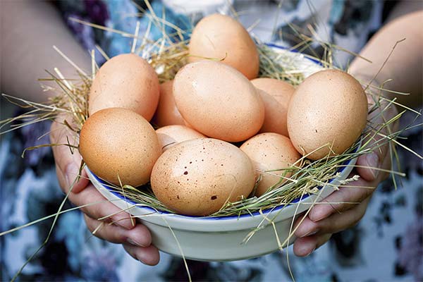 Польза яиц при беременности