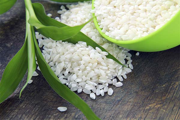 Польза риса при грудном вскармливании