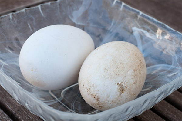 Применение гусиных яиц в косметологии
