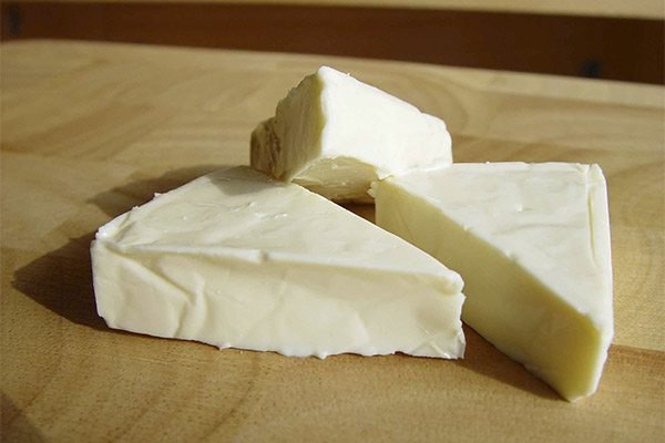 Применение плавленного сыра в кулинарии