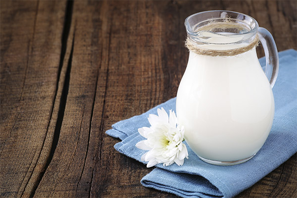 Рецепты народной медицины на основе молока