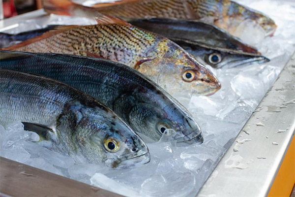 Сколько хранится размороженная рыба в холодильнике