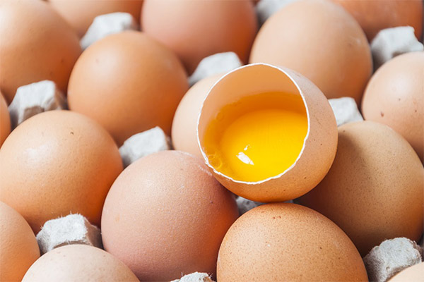 Срок хранения сырых яиц