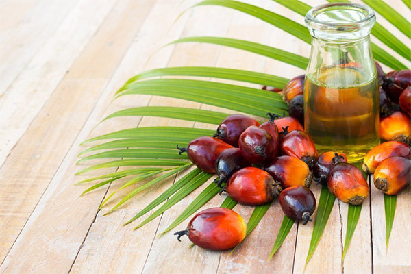 В каких продуктах содержится пальмовое масло