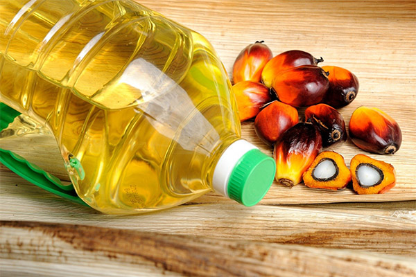 Вред и противопоказания пальмового масла