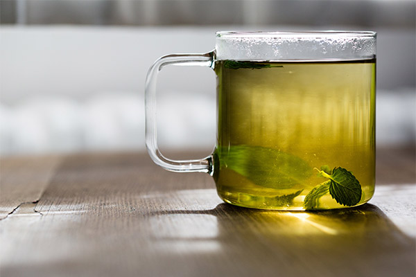 Зеленый чай с мятой или мелиссой